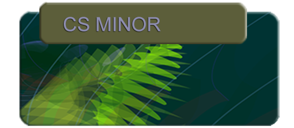 cs minor